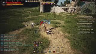 Black Desert PS5 in a nutshell