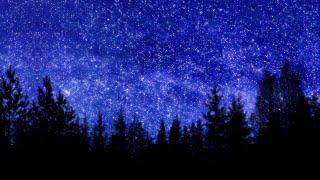 1 Hour Starry Sky Screensaver with Relaxing Music | Relaxing Motion Background | FREE DOWNLOAD