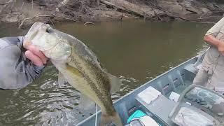 Summer bass fishing with dad.( Two fish in one cast!!!!)