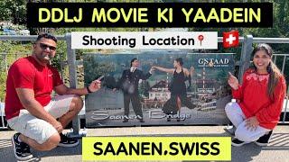 SAANENBRIDGE | DDLJ MOVIE KI YAADEIN TAJA HO GAYI| MAZA AA GAYA @IndianPaddy #saanen #ddlj