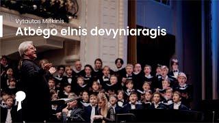 Atbėgo elnis devyniaragis (V. Miškinis) | Choras „Ąžuoliukas“