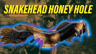 Bank Fishing For Invasive Snakehead in South Florida