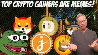 Top Crypto Gainers are Memes: Pepe, Floki, Bonk, Jasmy, Dogecoin