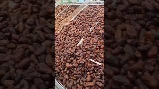 Dates #dates