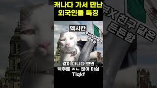 캐나다 워홀 후기, 나라별 외국인 특징 #유학 #고양이#유학준비 #대학교 #유머 #워킹홀리데이