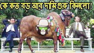 কাইশ্যার ঈদের গরু নিয়ে চাপাবাজি | Kaissa Funny Eid Goru | Bangla  Comedy Dubbing