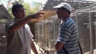 Interview With Wildlife World Bird Trainer