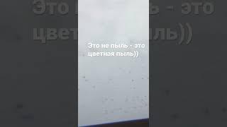 Неужели цветная пыль?