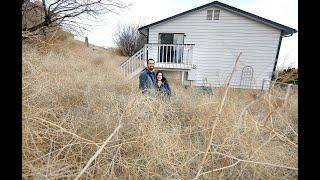 Tumbleweed mess invades Kennewick neighborhood