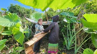 They are not allowed to stay in the forest anymore|ly tieu nhi