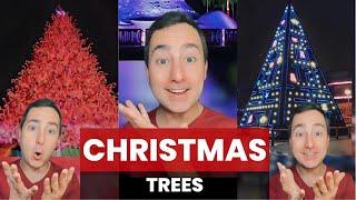 Creative Christmas Trees | Taylor Nikolai