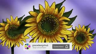 Drawing Timelapse - Sunflower