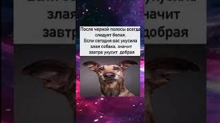 Ахахах #юмор #ржака #мем