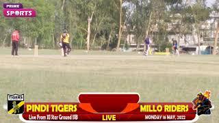 Live T20 Cricket Match #pindi tiger_Club Vs #Millo rider at XI Star Cricket Ground Isb.