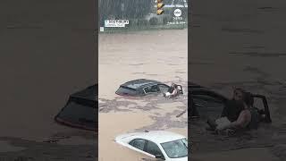 Man rescues amputee motorist and dog stranded in Connecticut flash flooding - ABC News