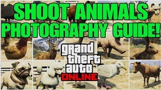 GTA Online: Shoot Animals Photography Guide! Guaranteed Spawn Locations!