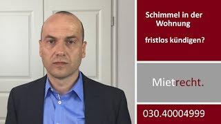 Schimmelpilz in der Mietwohnung - fristlos kündigen? | Fachanwalt Alexander Bredereck