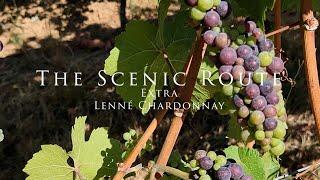 Lenné Estate Chardonnay with Crushed Grape Chronicles on The Scenic Route