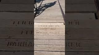 Magdeburg. Spacer po promenadzie nad Łabą.
