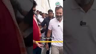 Who Buys Shoes For Rahul Gandhi? | On Ground | Samdish Bhatia #shorts