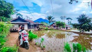 pedesaan Jawa Barat Yang indah Alamnya Dan Keramahan Warganya Di Indonesia