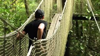 Explorer la Guyane française