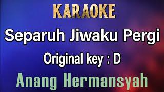 Separuh Jiwaku Pergi (Karaoke) Anang Hermansyah Nada Asli - Original key D