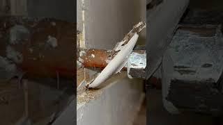 DIY Wall Flange Replacement | Old Toilet Main Line Flange Replacement With Split Ring Flange Demo