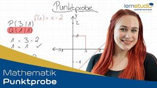 Punktprobe - Mathematik Nachhilfe