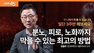 건강한 호르몬을 만드는 6가지 원칙 | 안철우 연세대학교 내분비내과 교수 w/ 구범준 PD | #건강 #저속노화 | 세바시 나머지 45 ep.70