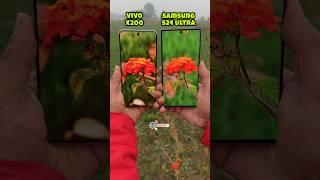 Vivo Vs Samsung - X200 Vs S24 Ultra #shorts
