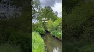 Böhme in Soltau #shorts #youtubeshorts #viralvideos #youtube #video #short #ytshorts #shortvideo