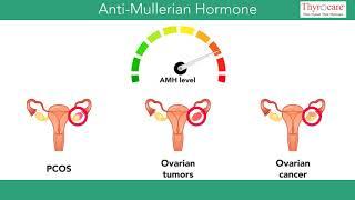 Anti Mullerian Hormone: A reproductive link!