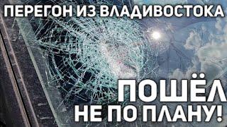 ЖЕСТЬ! САМОЕ СТРАШНОЕ В МОЁМ ПЕРЕГОНЕ(((