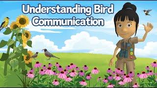 A WonderGrove for Birds: Understanding Bird Communication