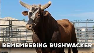 Remembering Bushwacker