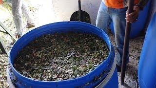 Almacenamiento y manejo de ensilajes a campo abierto - La Finca de Hoy