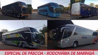 MOVIMENTAÇÃO de PÁSCOA na RODOVIÁRIA de MARINGÁ