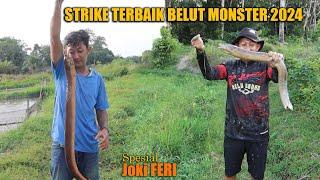 BEST MONSTER EEL FISHING DURING 2024 FERRY JOCKEY