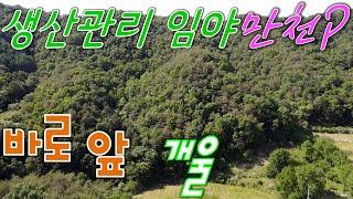 현황도로 있는 생산관리지역 임야, 횡성전원주택매매[매번 30524]