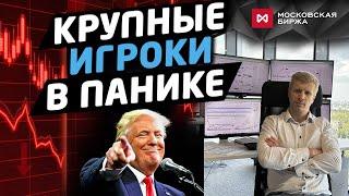 Трещина в мировой экономике и ее влияние на фондовый рынок России.