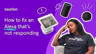 How to fix an Alexa that's not responding | Asurion