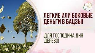 КАК ПОВЫСИТЬ ДЕНЕЖНУЮ ЭНЕРГИЮ В БАЦЗЫ! Легкие или боковые деньги в Бацзы для Господина Дня Дерево