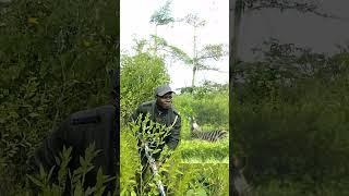 Good target hunter #wildlife