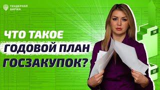 ЧТО ТАКОЕ ГОДОВОЙ ПЛАН ГОСЗАКУПОК?