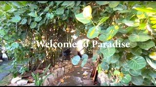 Welcome to Paradise Beach House North Shore Oahu Hawaii