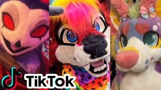 Furry Tiktok Compilation #6