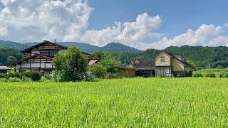 Japan Most Beautiful Village, Relaxing Walk in Gifu, Japanese Countryside 4K HDR