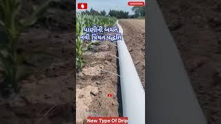 Drip farming | Indian Farmer | yummyfarm | farmya | TechnicalFarming #satisfying #sorts #ytshorts