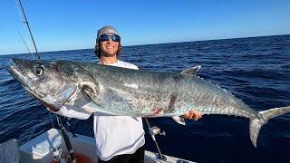 THIS FISH ALMOST SPOOLED ME…. GIANT KINGFISH